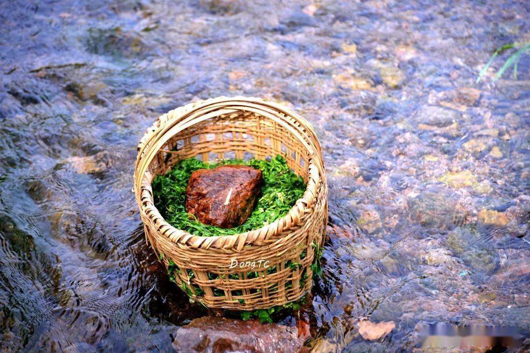 味道庐江关于汤池的百花菜你必须要知道这些