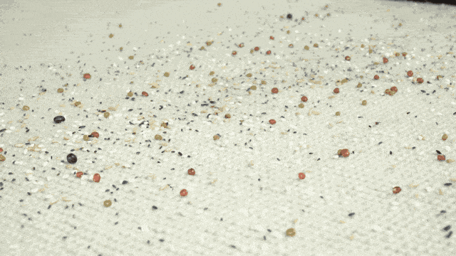 全能吸尘器评测！吸拖一体难缠毛发秒清理，犄角旮旯高处打扫全搞定