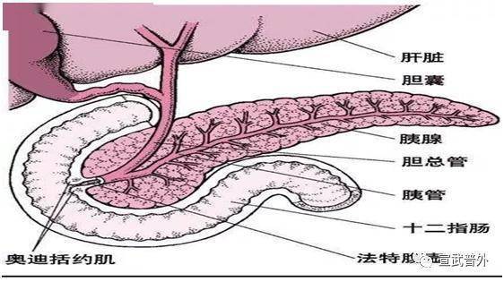 把酒言欢|把酒言欢，谁来买单？