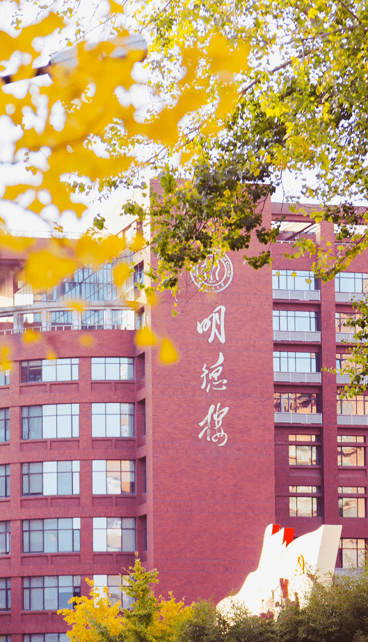 此番是中国人民大学的秋天,是惊艳了整个秋天的银杏没错了.