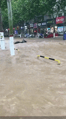 经历|今年的郑州，太难了！