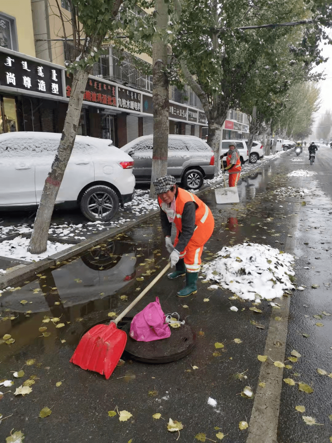 积雪|呼和浩特迎来今冬首场降雪！朋友圈一片银装素裹，美成这样...