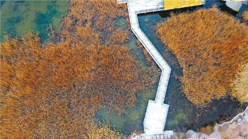 积雪|呼和浩特迎来今冬首场降雪！朋友圈一片银装素裹，美成这样...