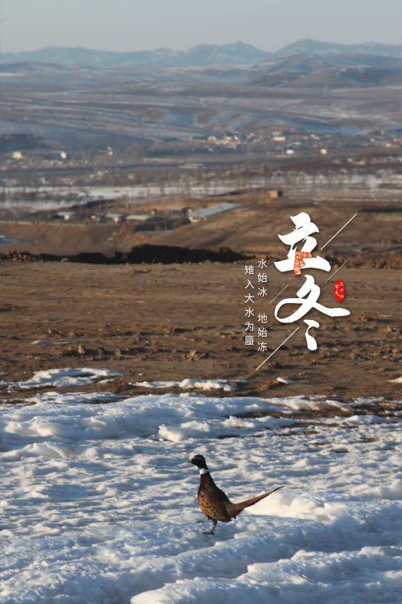 朔风|报节气|朔风雨雪伴冬来