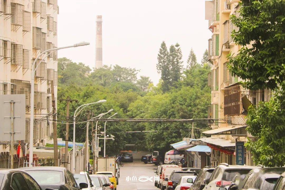 再见杏林区再见老工业区风雨63年拆迁改造背后藏着无数厦门人的苦与甜