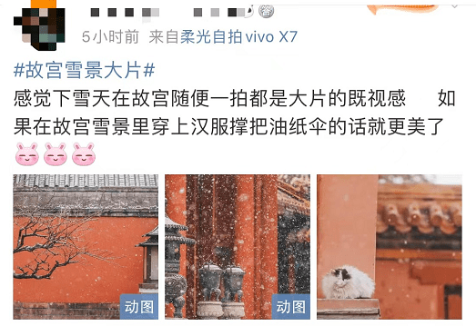 来源|雪后的热搜，属于故宫和环球影城…