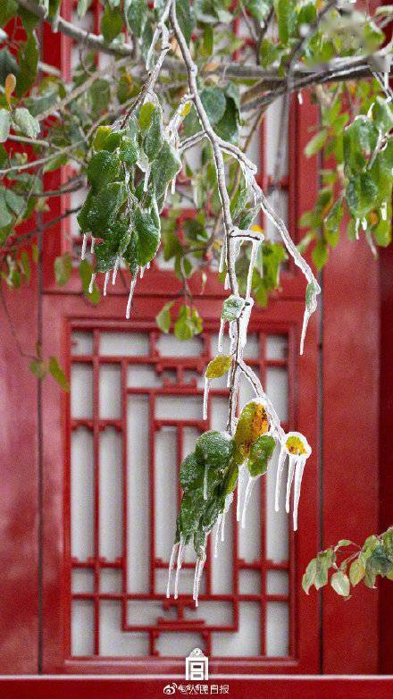 雪景来了！终于等到故宫雪景新片