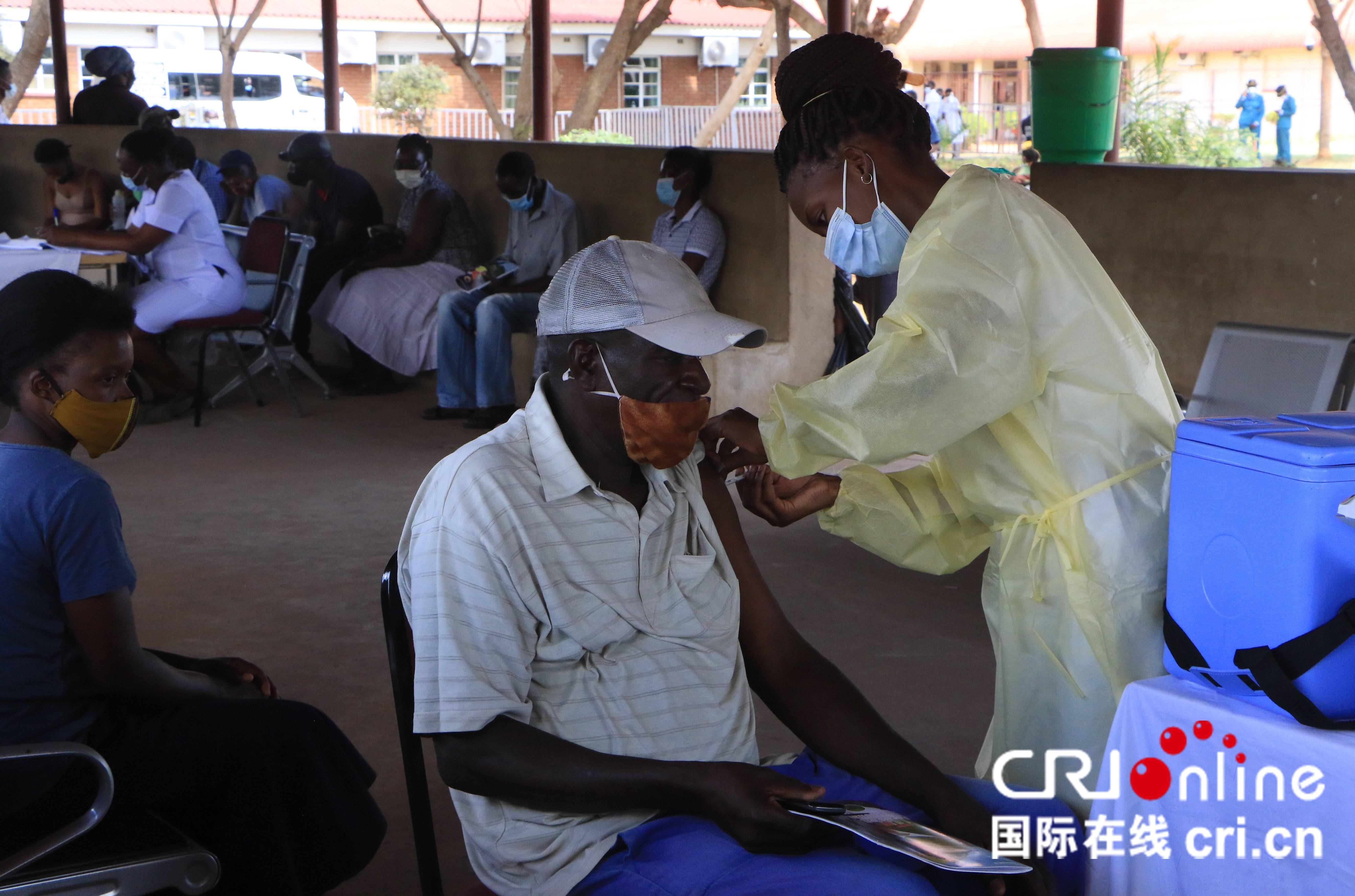津巴布韦媒体拍纪录片点赞津中疫苗合作