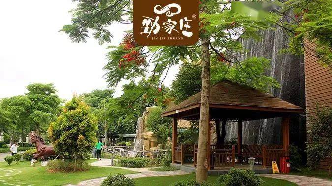 市政协委员, 旅游形象大使 更重要的的是劲哥可是"劲家庄"品牌创始人