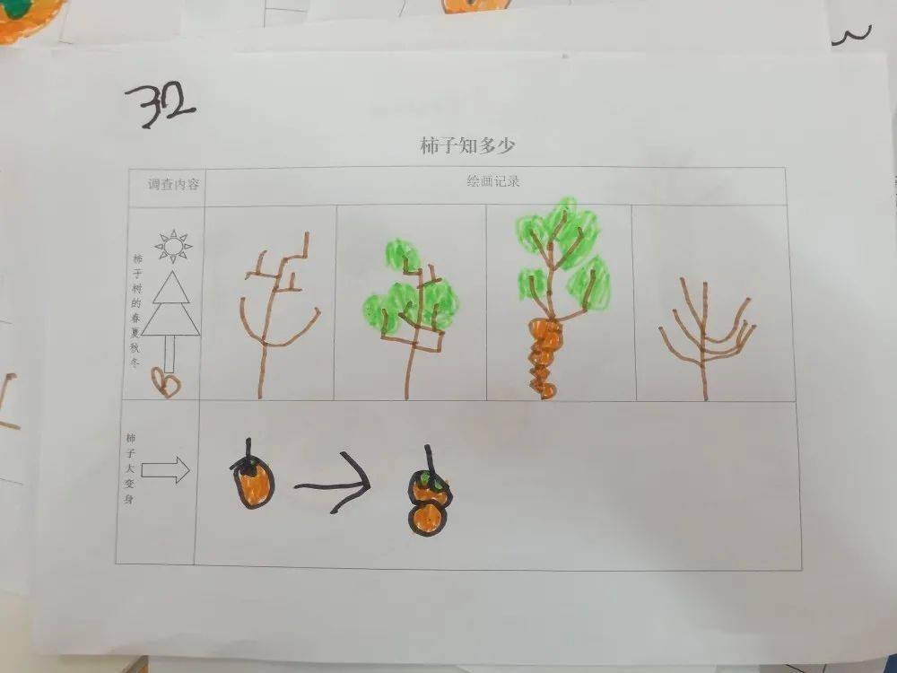 课程故事柿柿如意三明市宁化县连冈幼儿园大一班课程故事