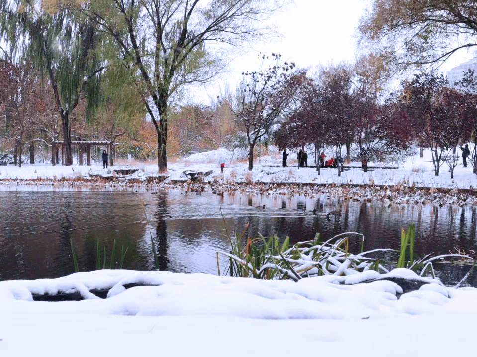 一起邂逅海淀绝美雪景~_初雪