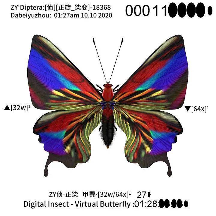 蝴蝶|他用计算机造佛，花2年造100万蝴蝶：如果不玩游戏，就没有今天