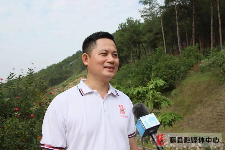 今天藤县融媒体中心要上头条