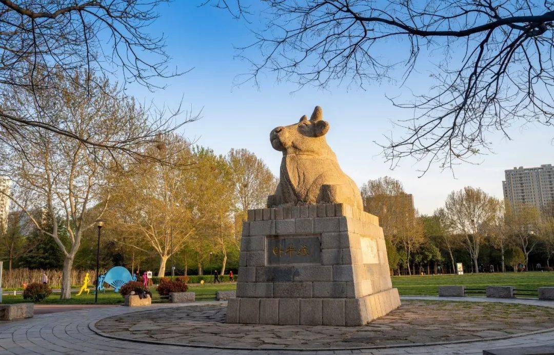 智慧邢台，真“牛”！