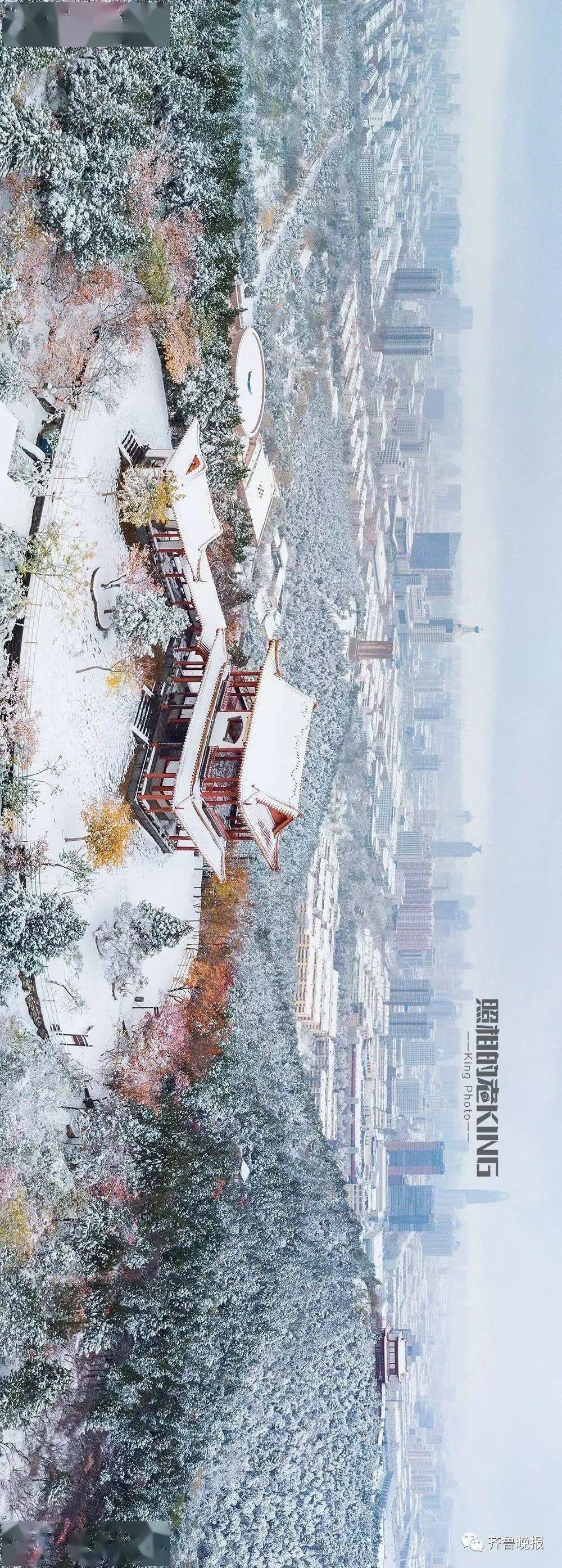 网友|济南雪景美上热搜!网友:一下雪,济南就成了济南府