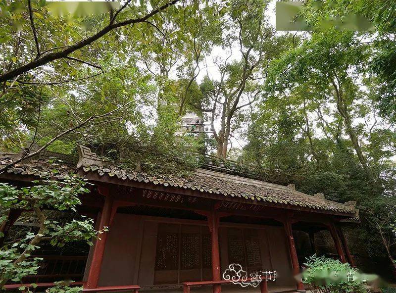 乐言乐语丨玉节照绿野 银瓶落青纶 莫负