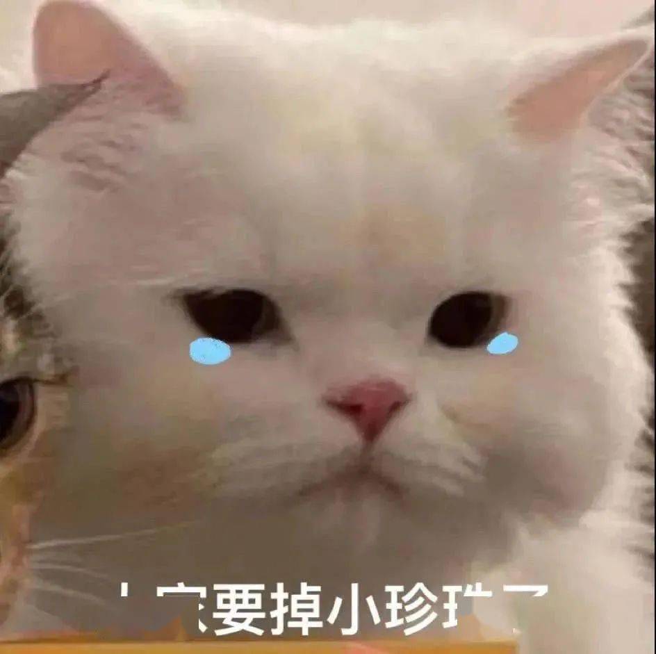 抖音热门表情包