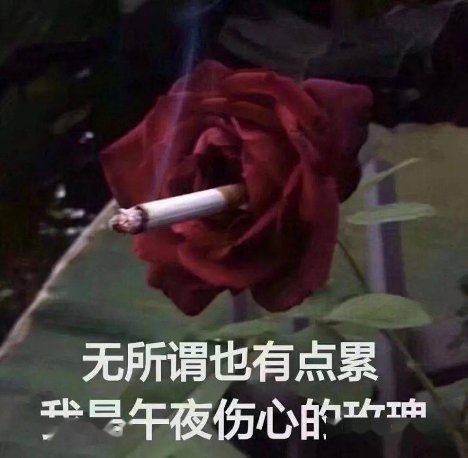 俞承豪|发福发面发腮，帅哥们的花期为何如此短暂？