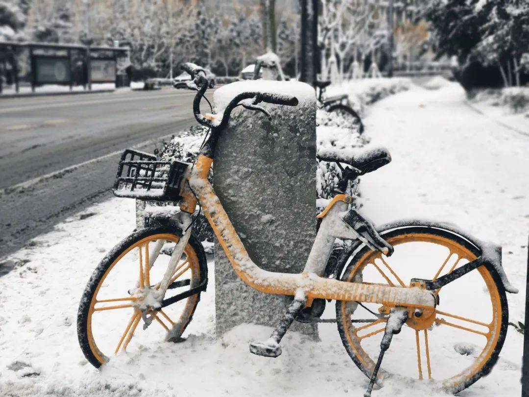 济南|一下雪，济南就成了济南府。