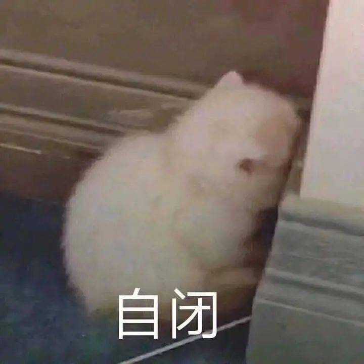 俞承豪|发福发面发腮，帅哥们的花期为何如此短暂？