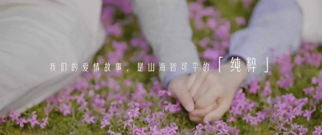 计划|像爱情一样纯粹