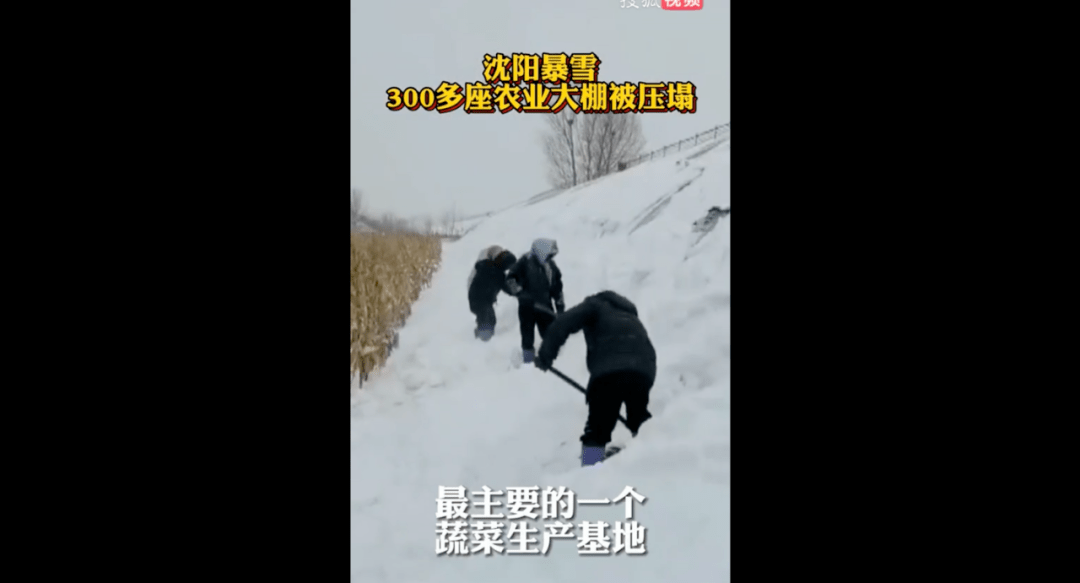 寒潮|暴雪下的东北，无法喘息