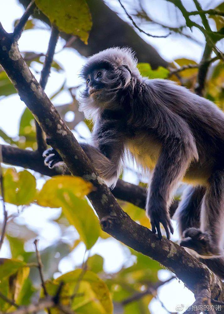 被称为"西藏西双版纳"的墨脱,究竟是怎样的地方?