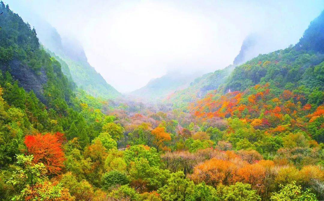 溪山胜境的红叶引你入境