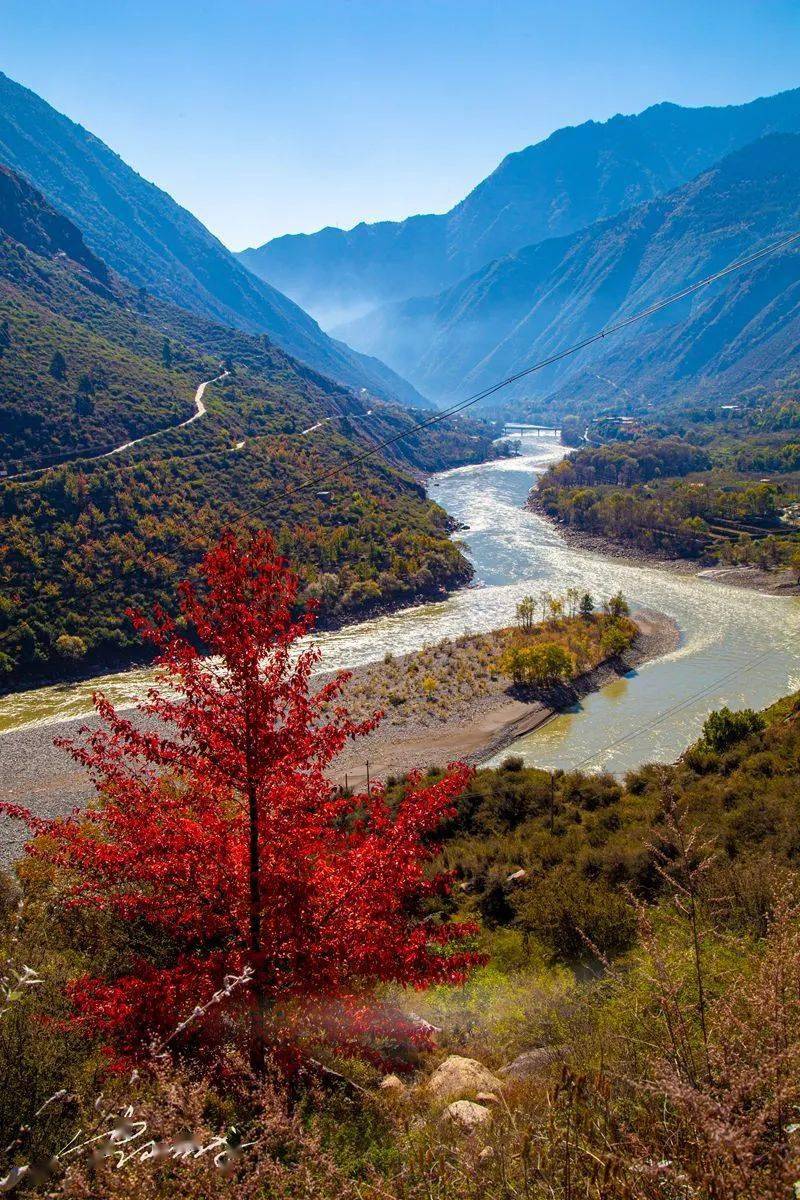 深秋的大金川,阳光明媚,风景如画_阳光里