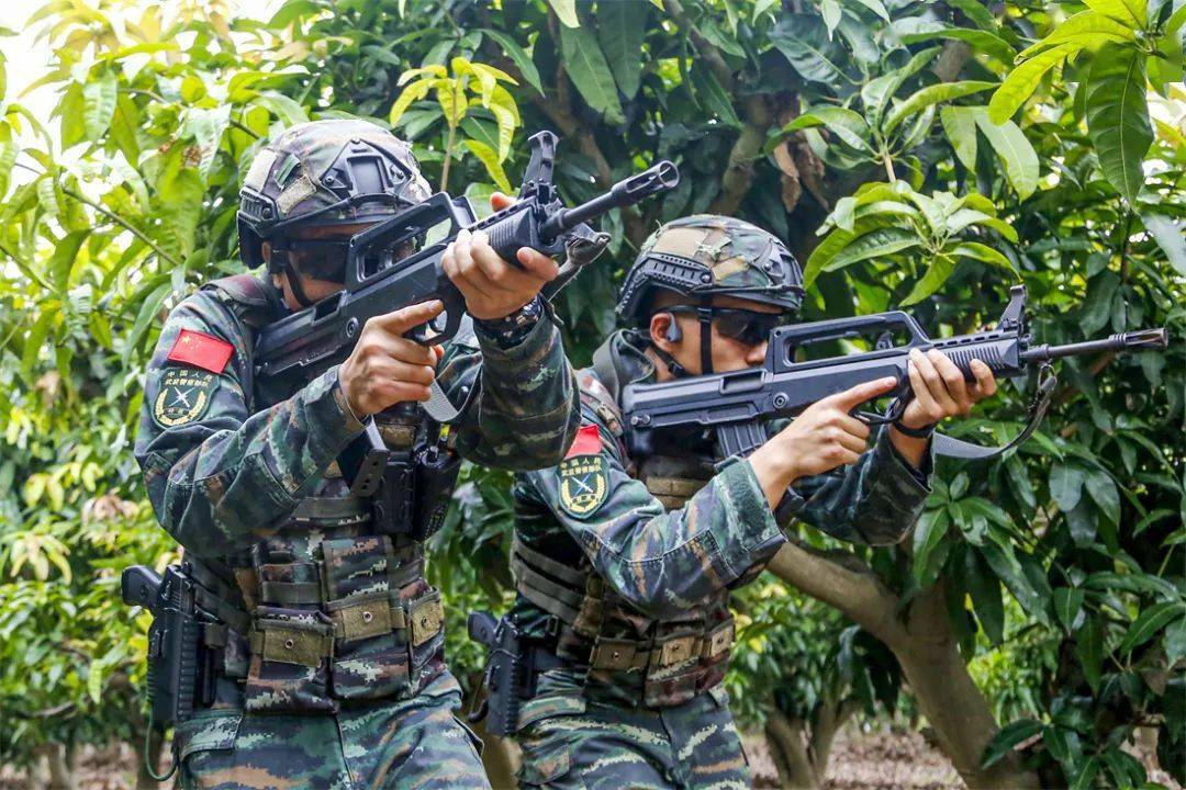 橄榄绿武警浙江总队机动支队武警河池支队武警徐州支队