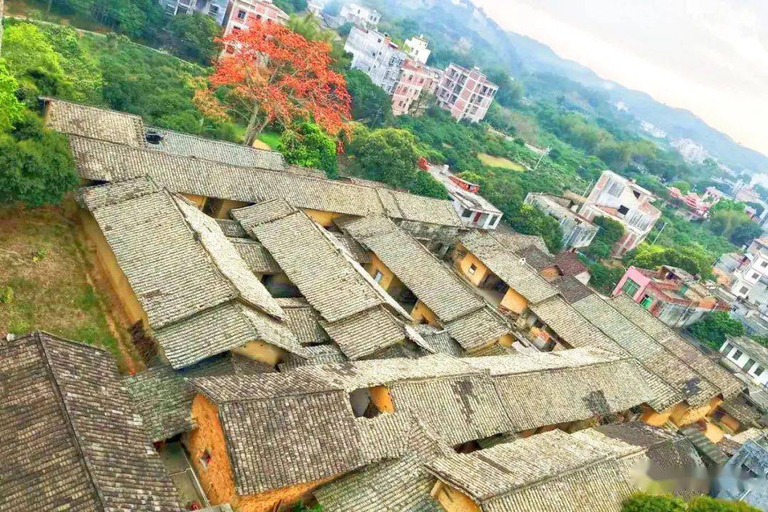 乡村振兴良江有良法
