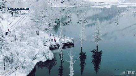 童话|像童话！四姑娘山空灵雪景似琉璃