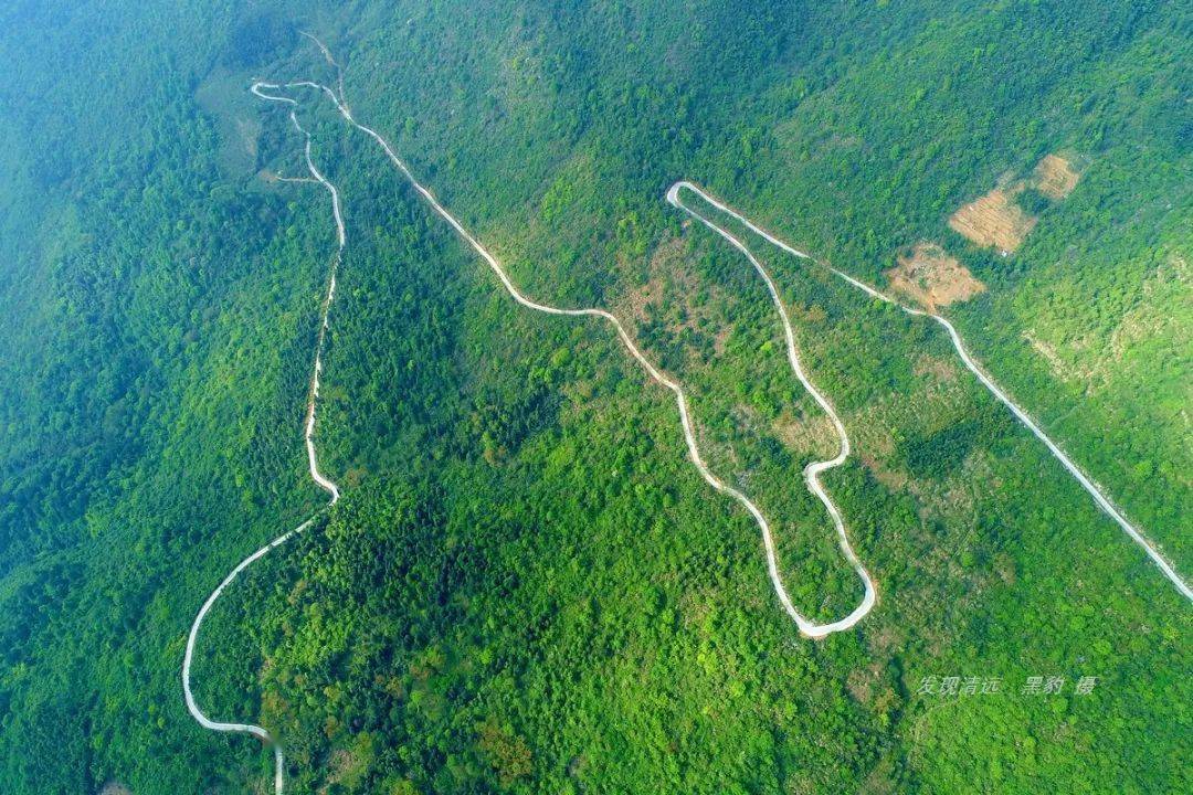 就在今天早上阳山县秤架大峡谷惊现广东罕见的云海奇观