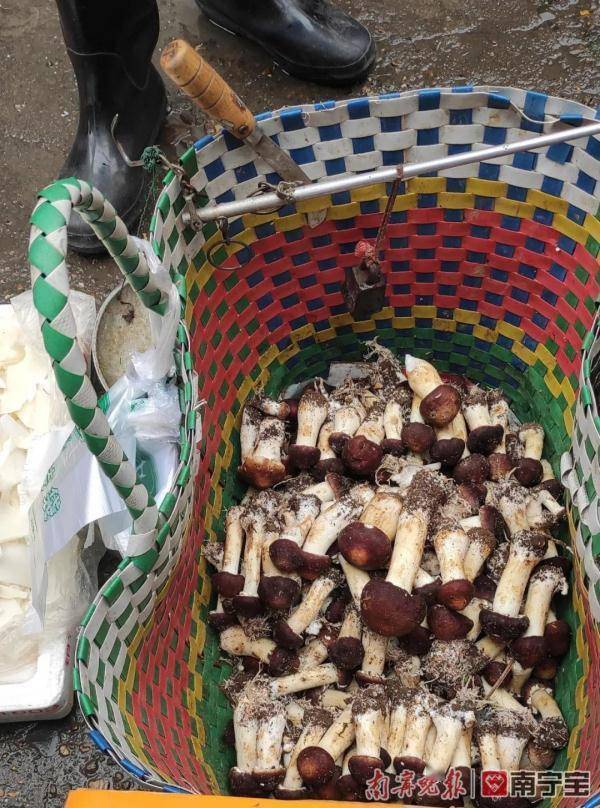 接种|广西疾控提醒：11月应注意防范这些疾病及公共卫生风险