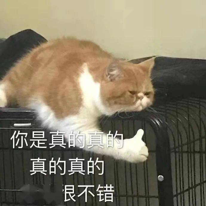 老婆|【聊天室】麻醉没清醒时的迷惑行为，好家伙这是麻倒了还是喝多了？