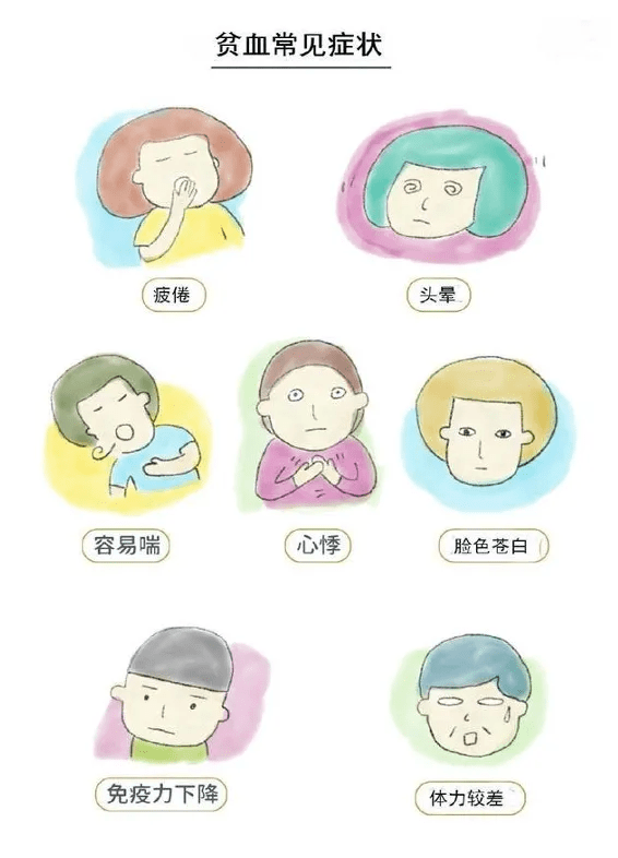 贫血的临床表现 来自搜狐网