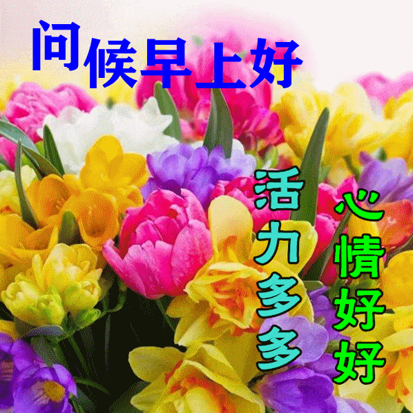 早上好动态表情图片大全,早晨好动图美图大全