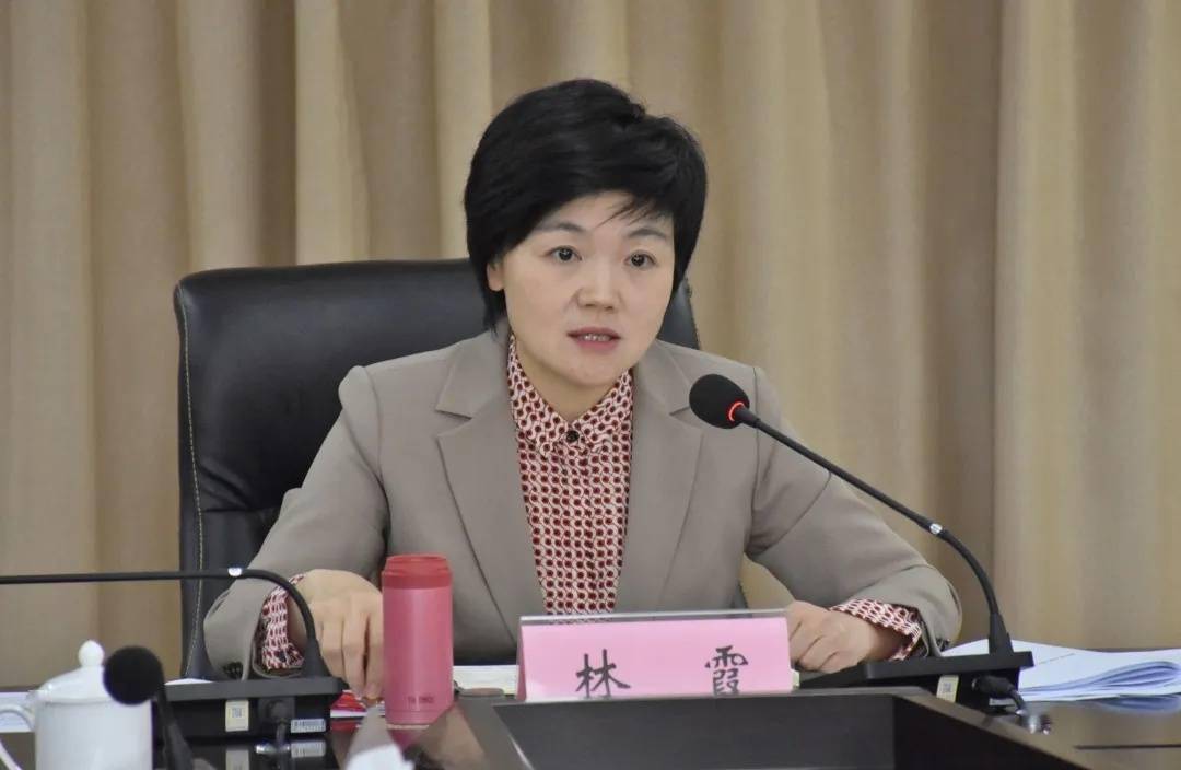 洞头区委书记林霞完善招商引资工作机制建设美丽富饶的海上花园