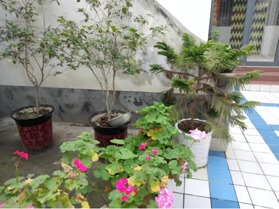 陵头镇杨楼沟村孟彩霞庭院#4临汝镇临东村马伟锋庭院#3寄料镇温楼村