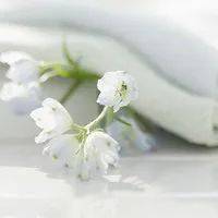 部位|注意：湿气重的人，身上这2个部位会“变大”，再忙也要看看！