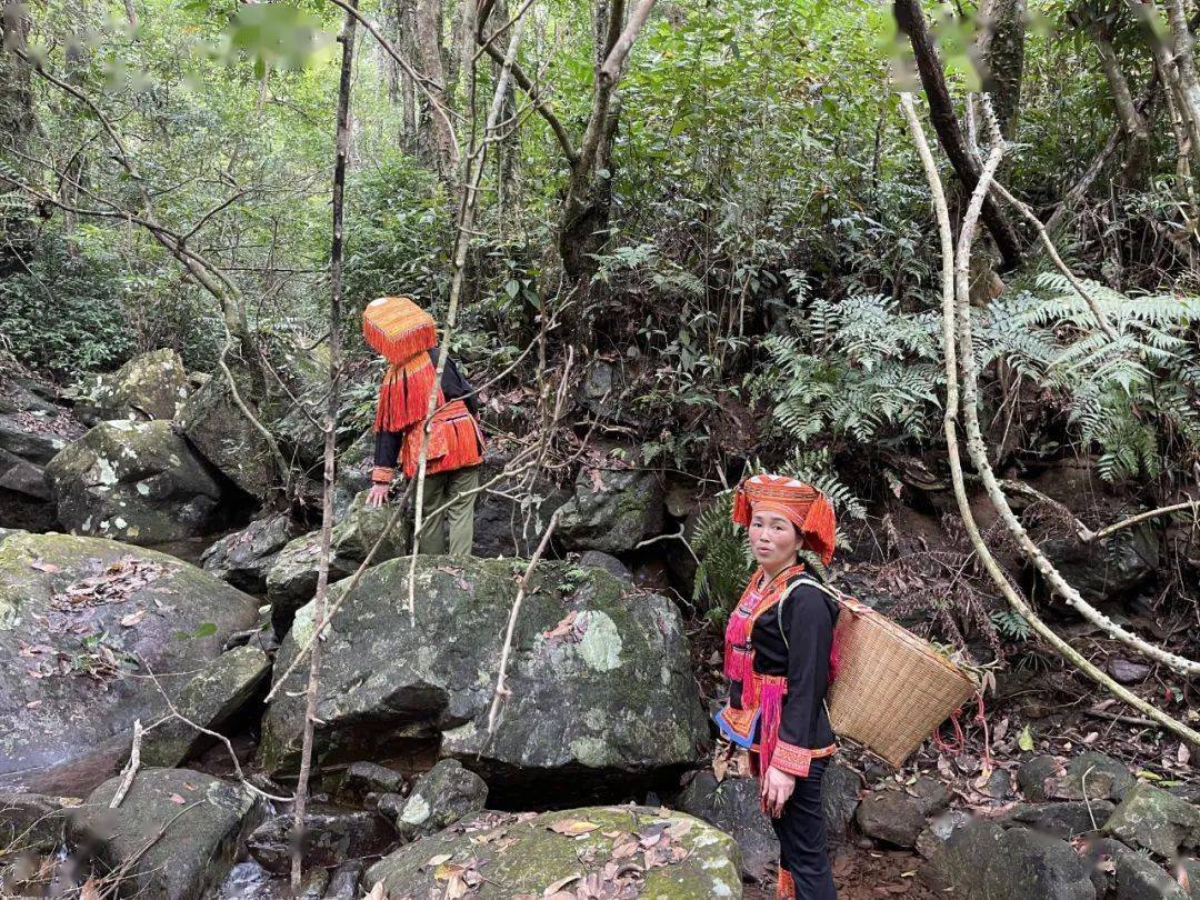 部位|注意：湿气重的人，身上这2个部位会“变大”，再忙也要看看！