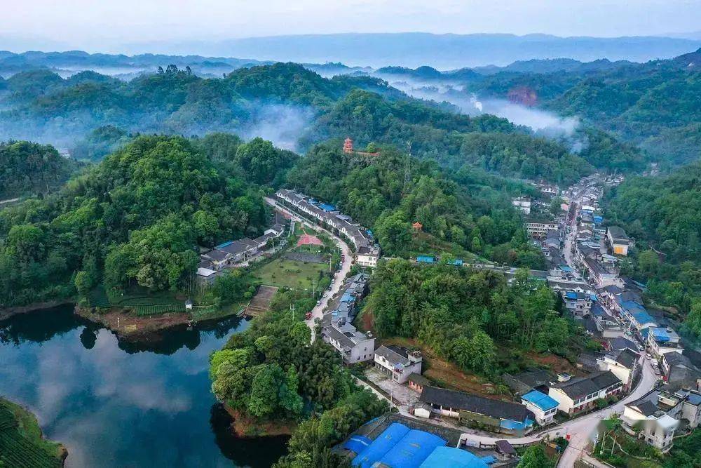 2021年全国乡村特色产业十亿元镇亿元村洪雅县中山镇 前锋村上榜第十