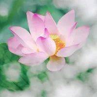 部位|注意：湿气重的人，身上这2个部位会“变大”，再忙也要看看！