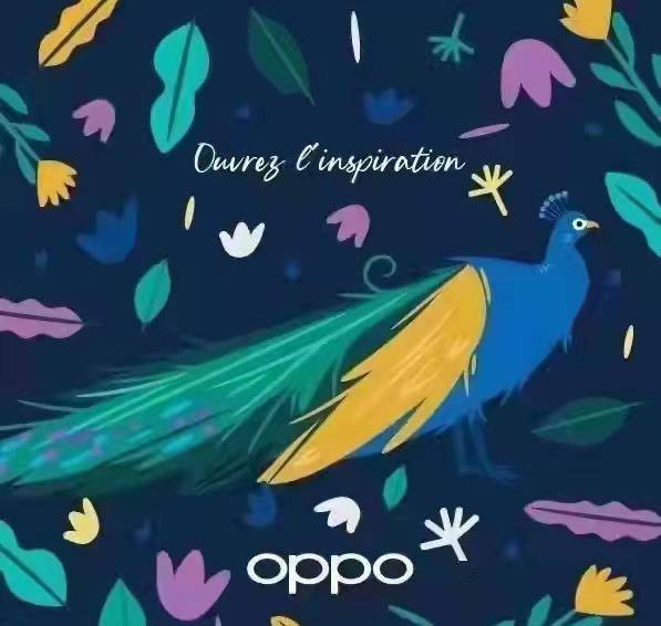 OPPO 折叠屏即将到来，内部代号孔雀