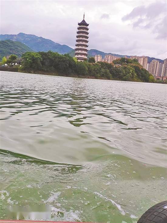 诗词|雨中赏汉丰湖