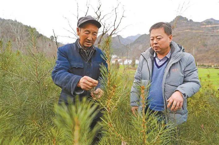 第一视角记录脱贫变化！《杨叔的脱贫日记》获中国新闻奖叫扬叔 - 全网最会整活的苏超球迷  足球圈热梗收割机一等奖