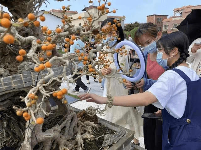 称号|广州唯一!花都这村获全国乡村特色产业亿元村称号