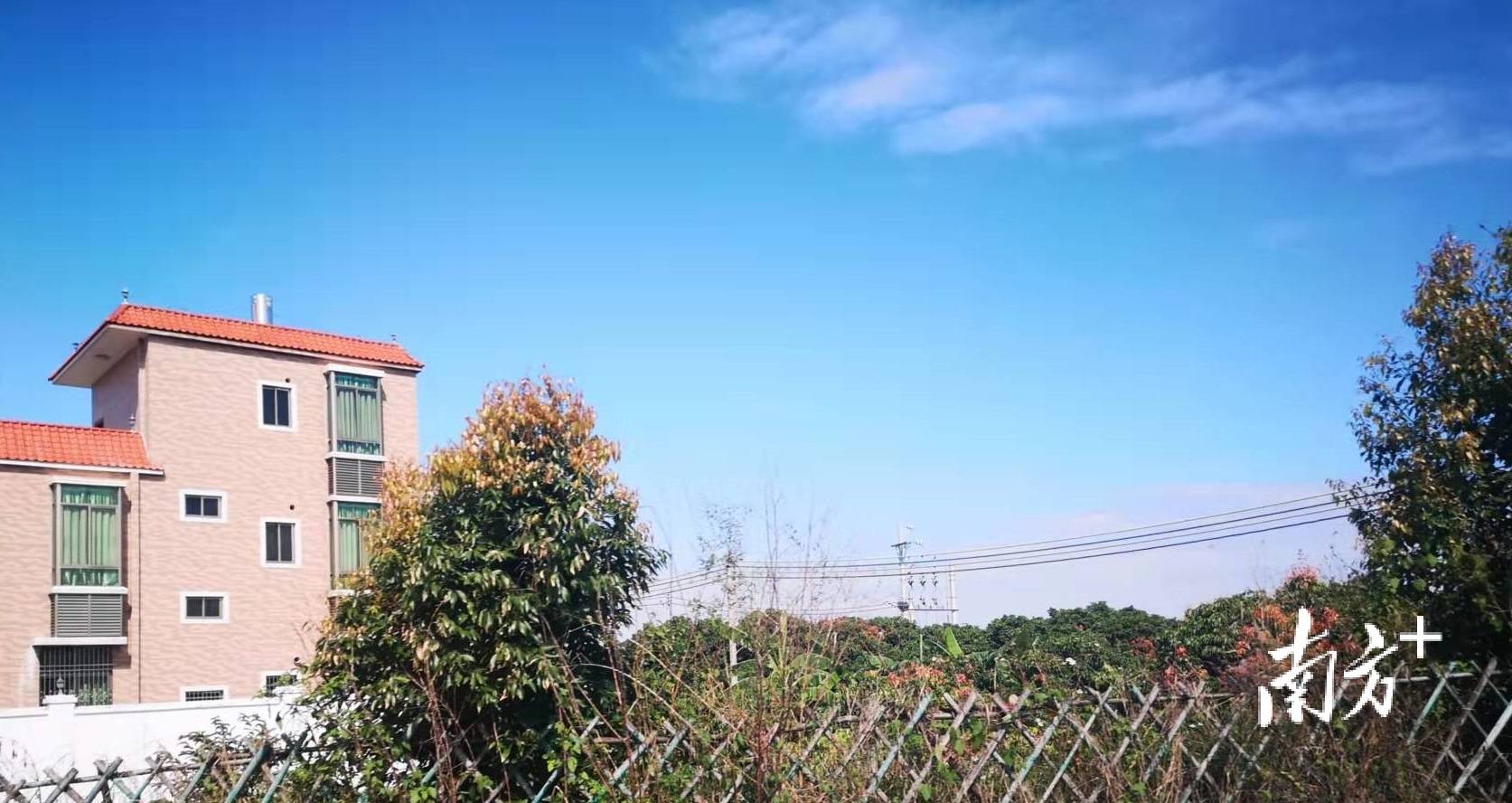海丰县赤坑镇岗头村：全国“一村一品”示范村产业如何更强？