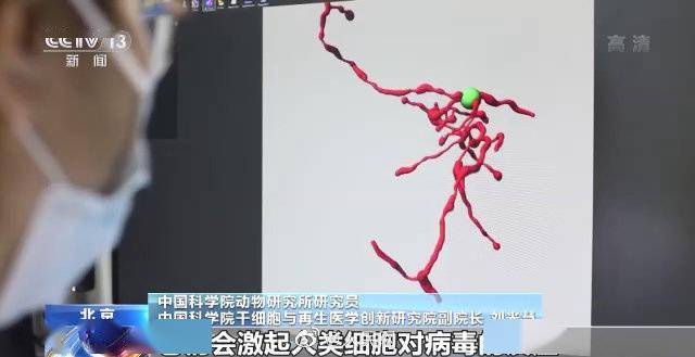 我国科学家破译出部分人类衰老密码，有望减缓细胞老化节奏