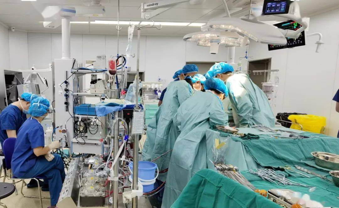 河西|南京市第一医院顺利完成第125例心脏移植手术（河西院区首例）！